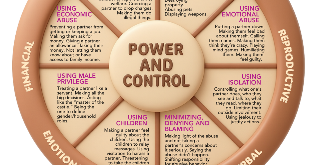 What is the Domestic Violence Power and Control Wheel?